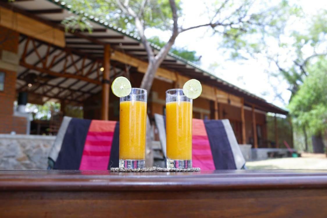The Ibis - Wilpattu Villa Puttalam Exterior foto
